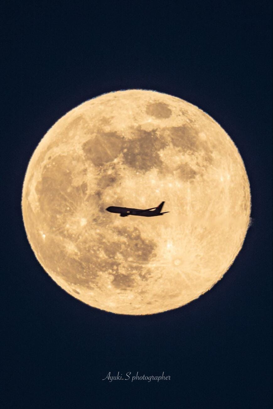 満月と飛行機の画像