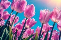 就職氷河期世代《40歳代・50歳代》単身世帯「貯蓄ゼロ」の世帯は意外と多い？！