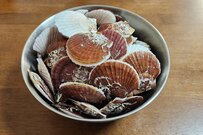 X上で話題となったパワーワード「俺のホタテ食べさせてあげなきゃ」　注目を集めた漁師が水揚げした「俺のホタテ」を食べて驚き