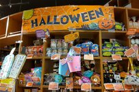 人気すぎて再販【カルディ】『くたモコ猫マスコット』 超かわいい3種