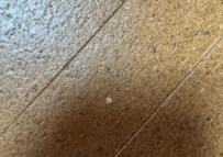 夫のデスクの下で発見した「光る物体」　床に刺さっていたまさかの物に驚きの声が続出