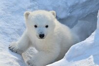 【老齢年金生活者支援給付金】6月13日（金）から増える！対象者はだれ？いくらもらえる？徹底解説！