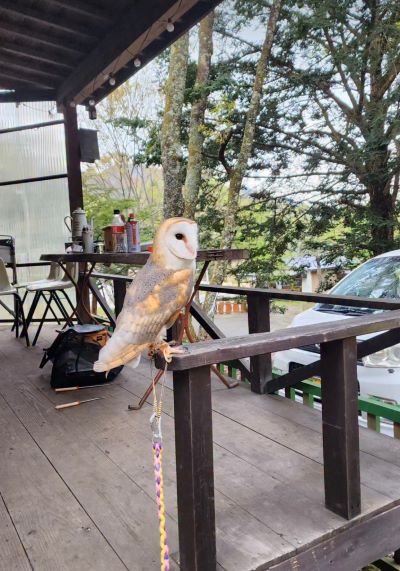 投稿動画のワンシーン