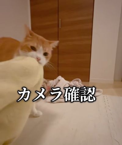 投稿の画像