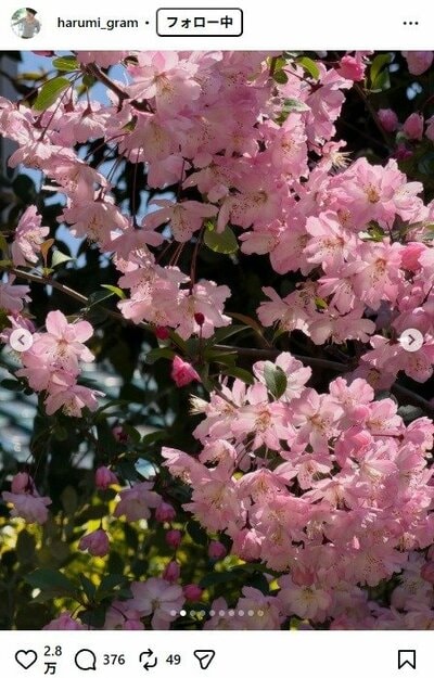 栗原はるみのInstagram投稿