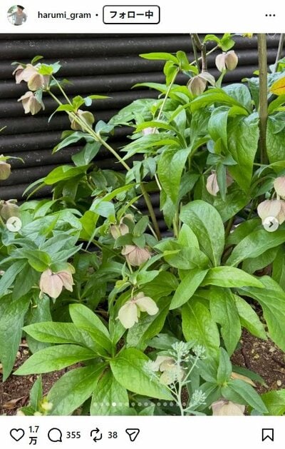 栗原はるみのInstagram投稿