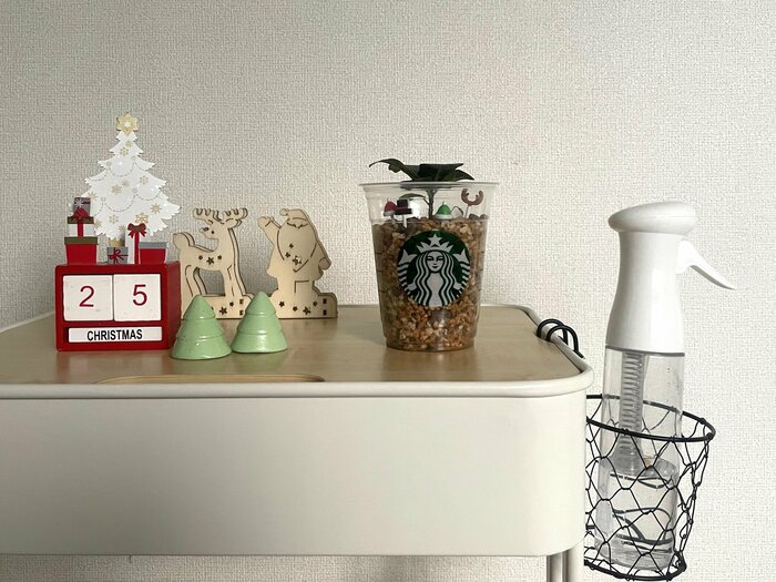 観葉植物を入れるだけでなく、小物入れとしても便利