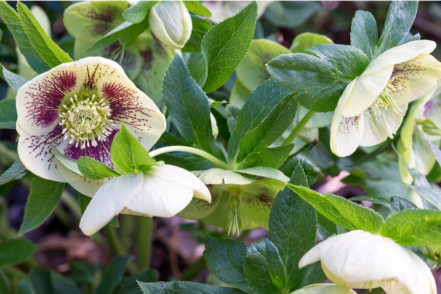 Scott F Smith/istockphoto.com