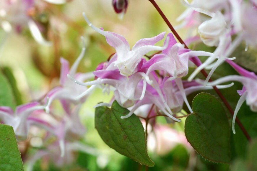 gyro/istockphoto.com