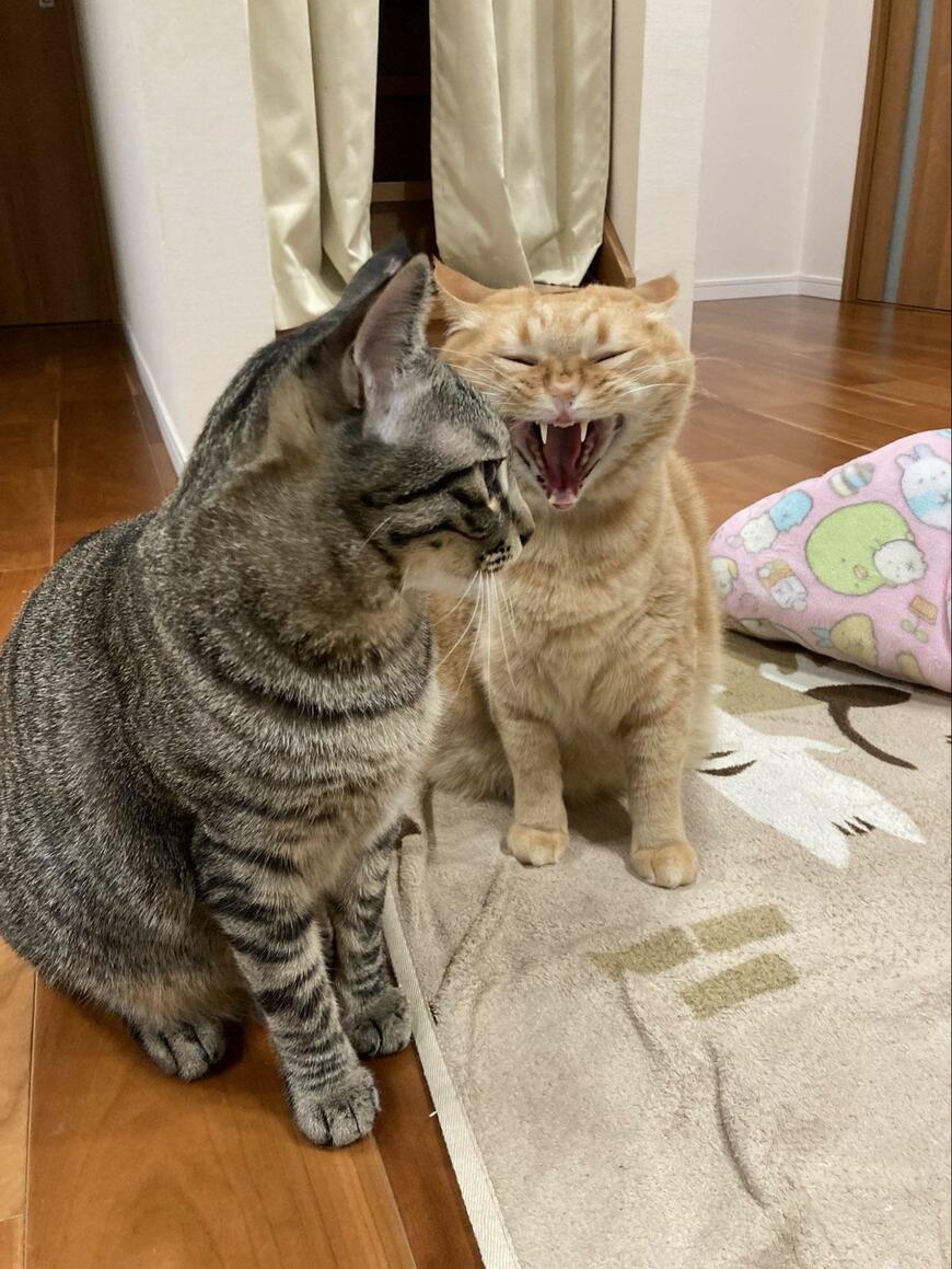 出所：@kagisuzu0531