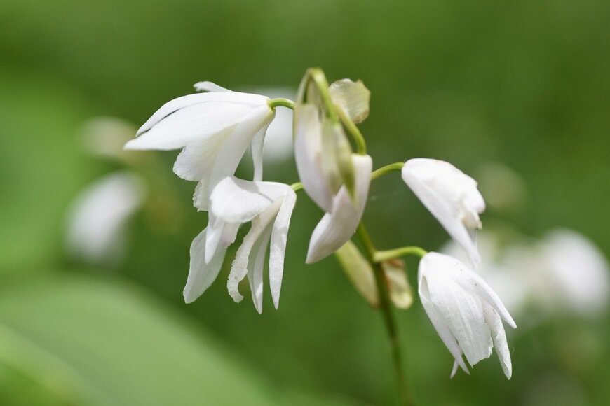 undefined undefined/istockphoto.com