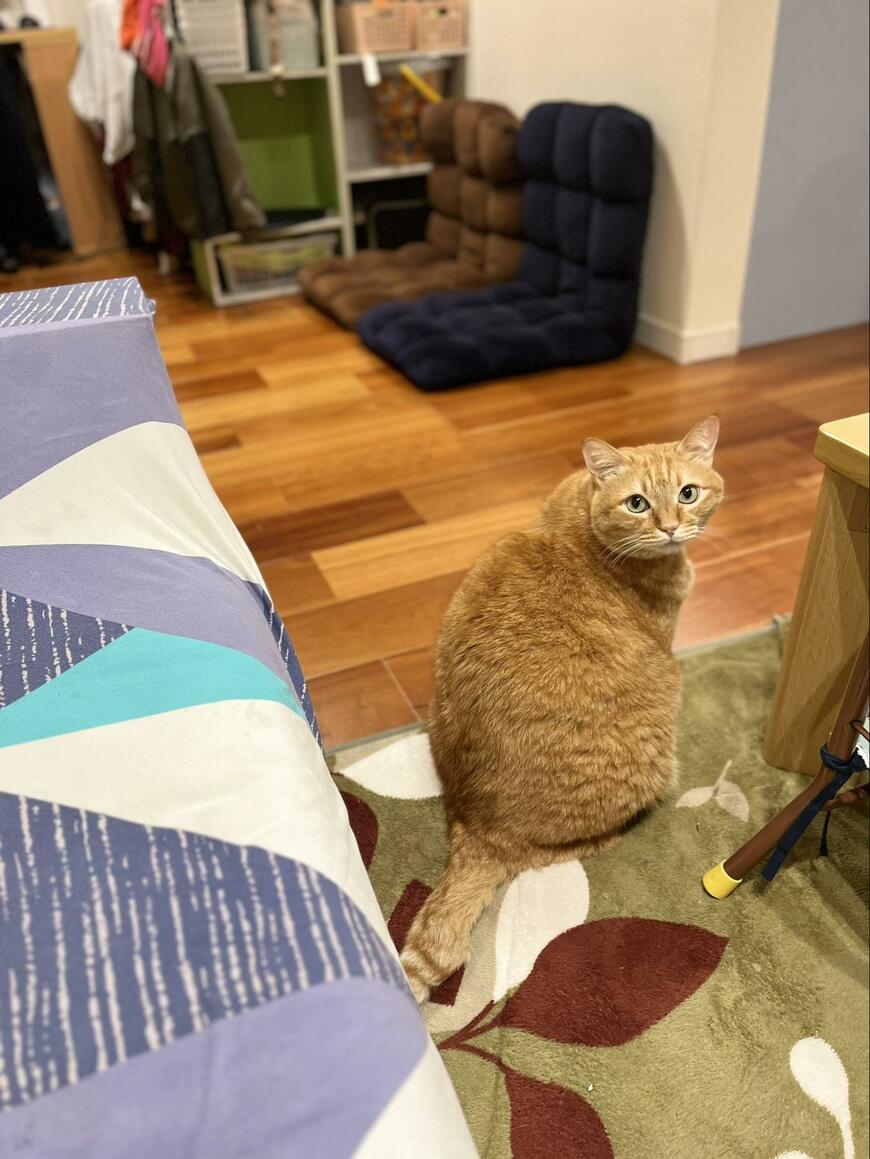 出所：@kagisuzu0531