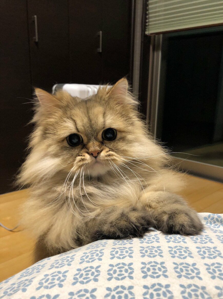 出所：@UphQepCv8J