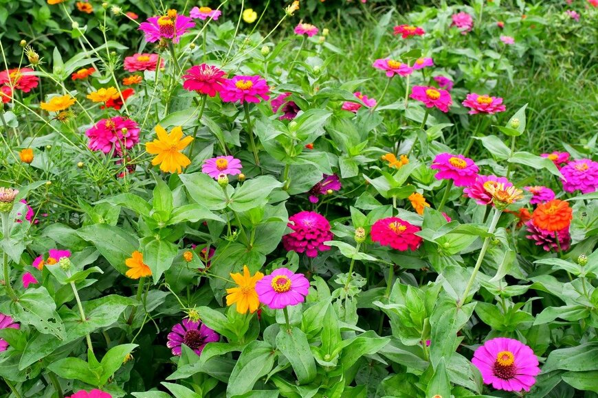 Supersmario/istockphoto.com