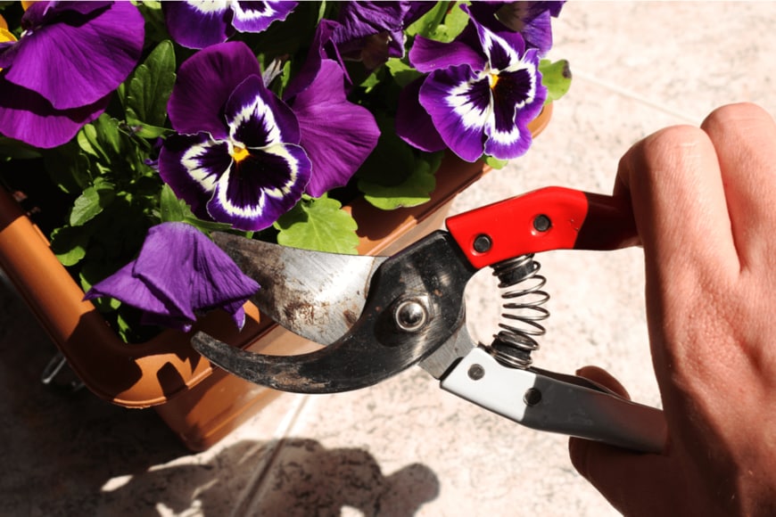 Aybarskr/shutterstock.com