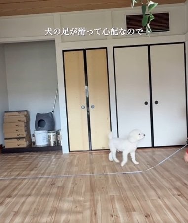 【床DIY】滑る愛犬のために築30年戸建の和室を改装。足腰に優しいネイビーブルーのフロアを敷き詰め、汚れても外して洗えるDIY術で掃除の手間も削減