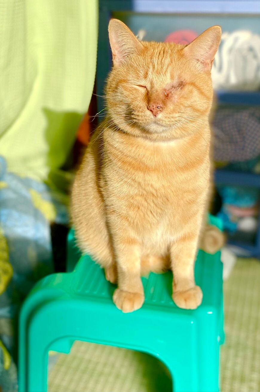 出所：@luna7taka9