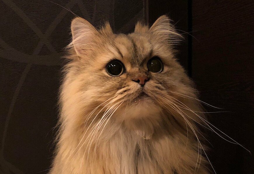 出所：@UphQepCv8J