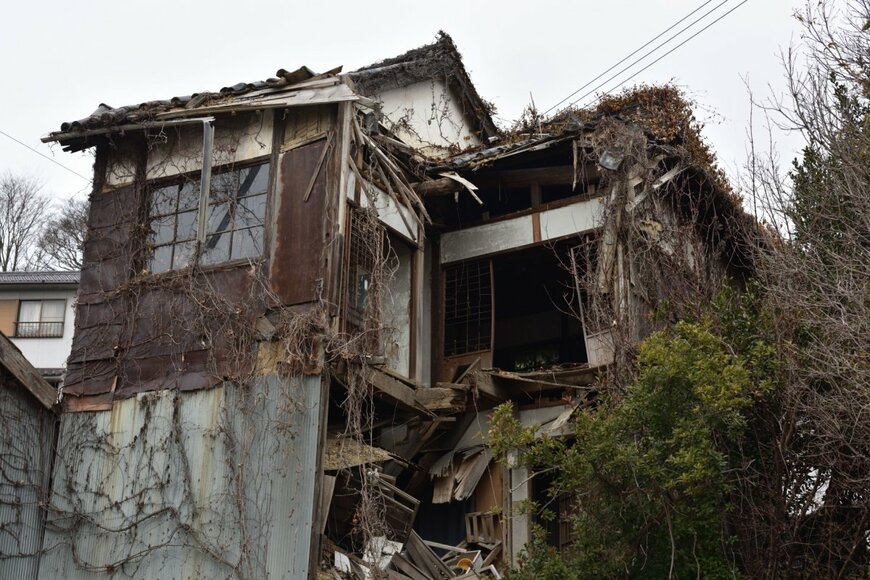 JinFujiwara/shutterstock.com