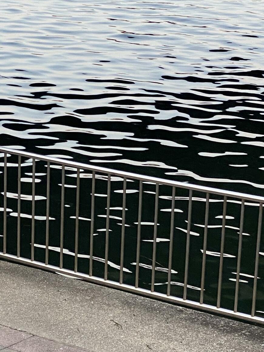 絵のような光景