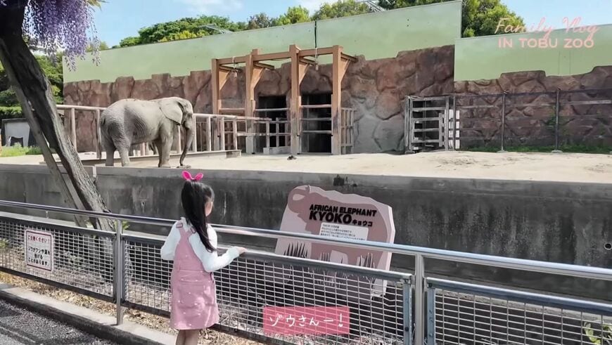 板野友美のYouTube投稿