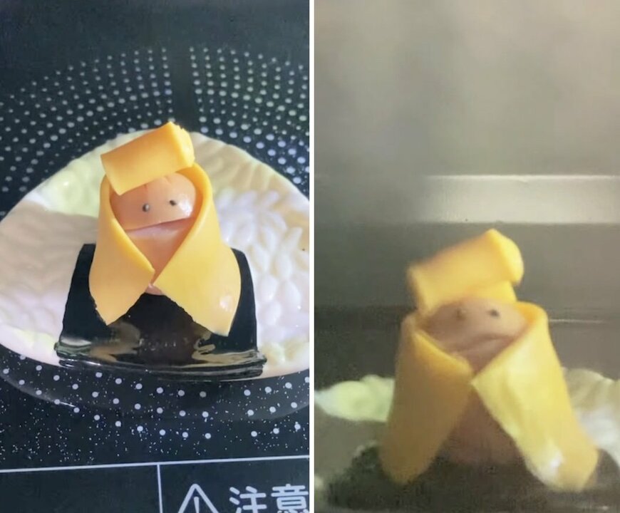 投稿動画のワンシーン