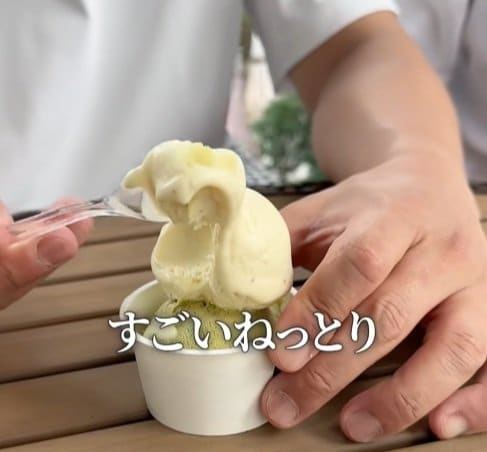 「道の駅さかい」のジェラートはねっとり質感