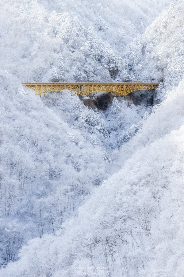埼玉県奥秩父で撮影された1枚の写真
