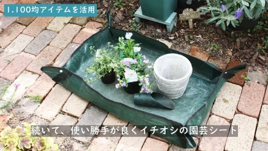 @チェリーガーデン