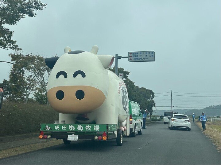 投稿の画像