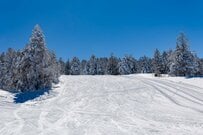 新潟県のスキー場で目撃された「体操するモビルスーツ集団」が話題　まさかの光景に「新たな奇祭？」
