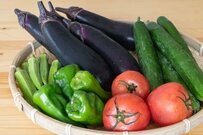 来月は年金支給月【年金一覧表】65～90歳以上の厚生年金と国民年金「5歳刻み」で確認