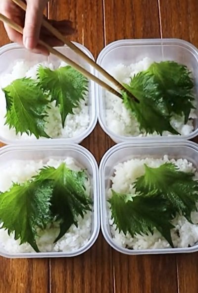 タッパーにご飯を詰めてお弁当作りがスタート