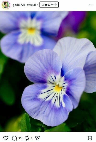 伍代夏子のInstagram投稿