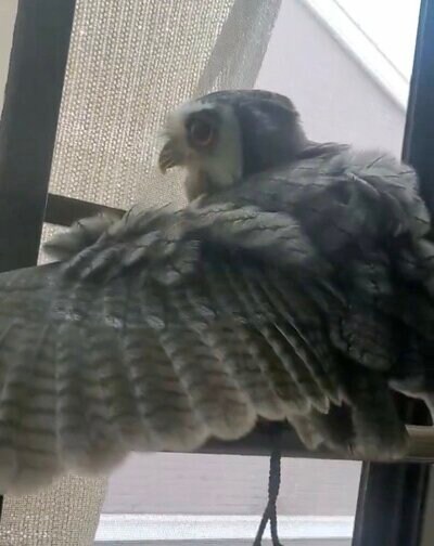 投稿動画のワンシーン