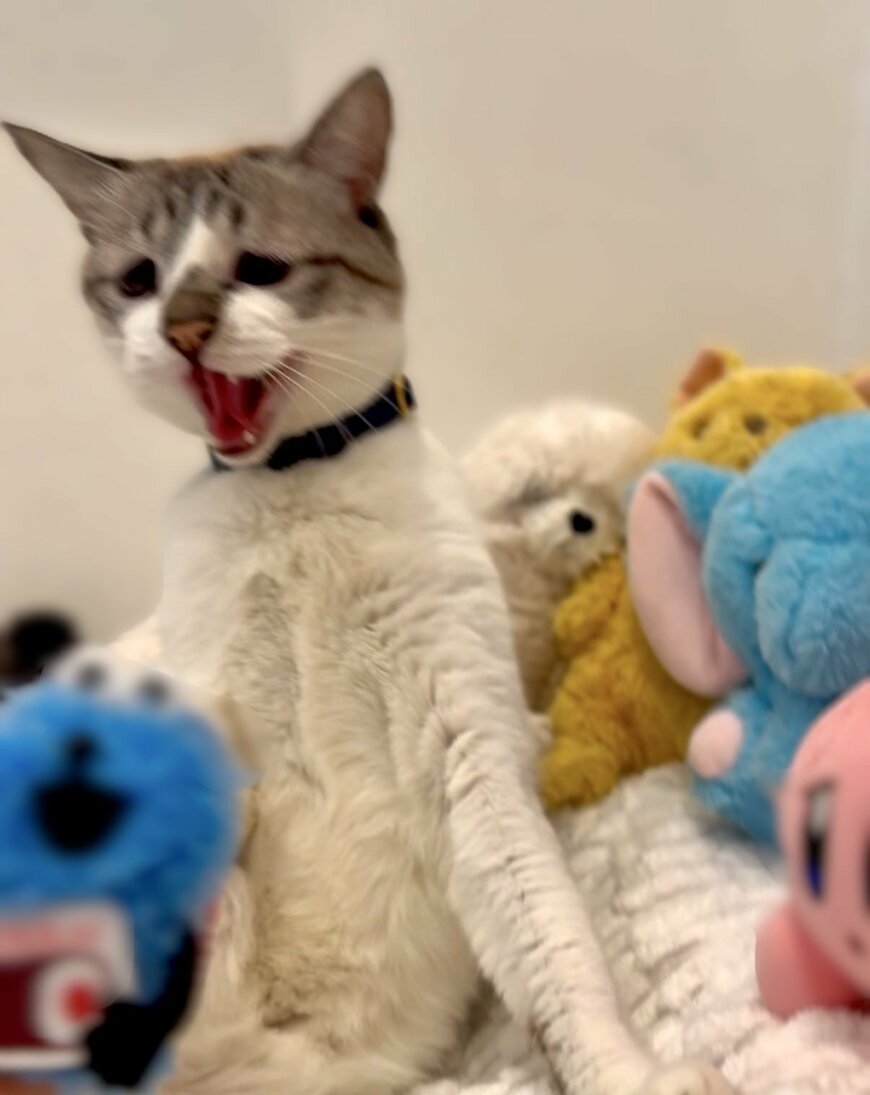 出所：@piennekomint