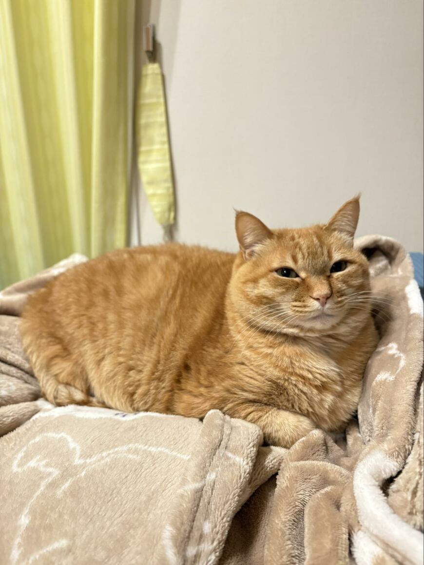 出所：@kagisuzu0531