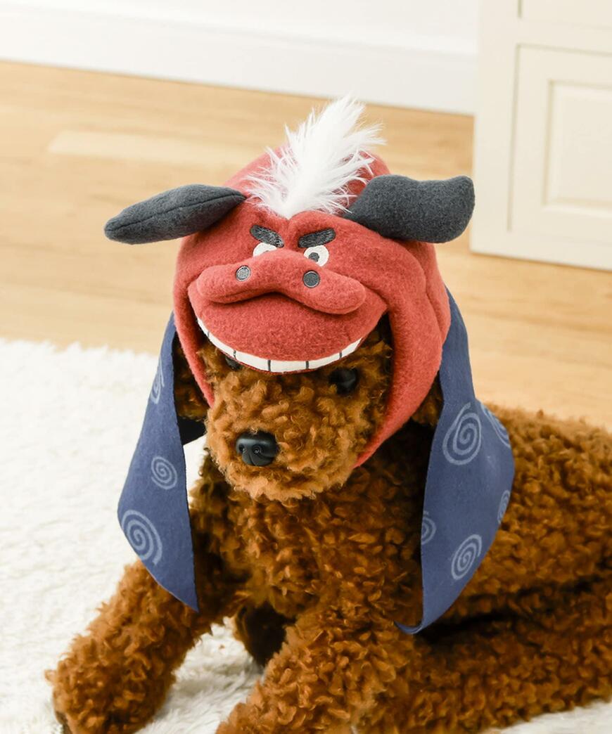 出所：パルグループ公式ファッション通販サイト 3COINS ペット用獅子舞かぶりもの／お正月