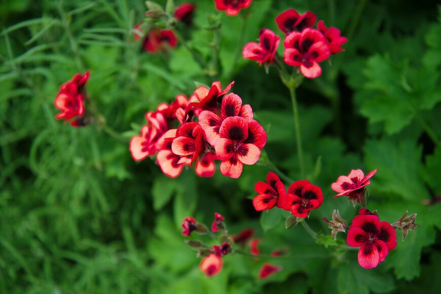 James Lesser/shutterstock.com