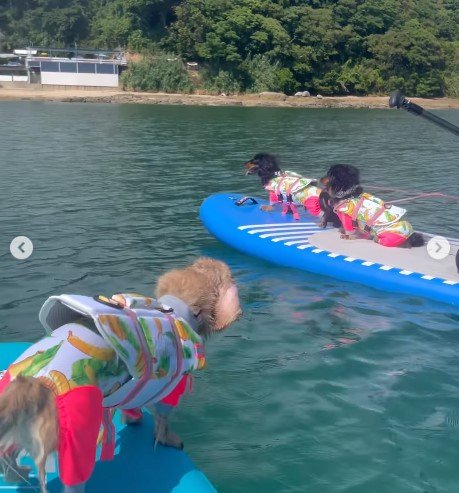 出所：himaribow.k.k