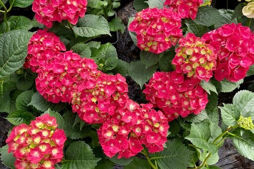 Nice_she/shutterstock.com