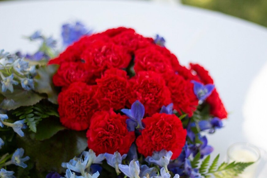 Spencer Johnson/istockphoto.com