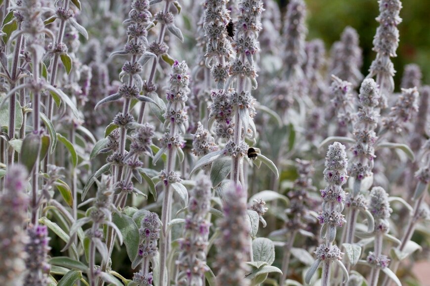 APugach/istockphoto.com