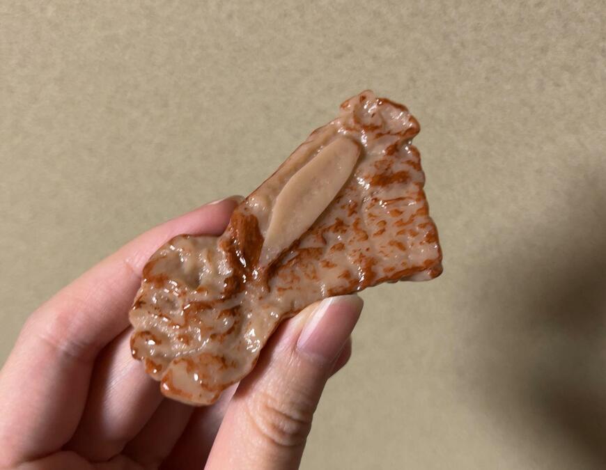 筆者撮影（セリア、ヘアクリップ 骨付カルビ）