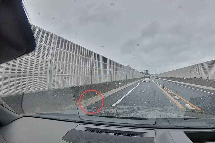 「東広島バイパス」の路肩で子猫を保護　2週間後の感動的な成長姿に「なんて幸せな子」「ウルウルしてしまう」