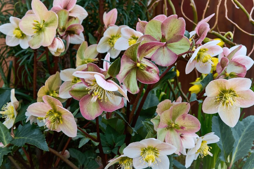 Oleg Charykov/istockphoto.com