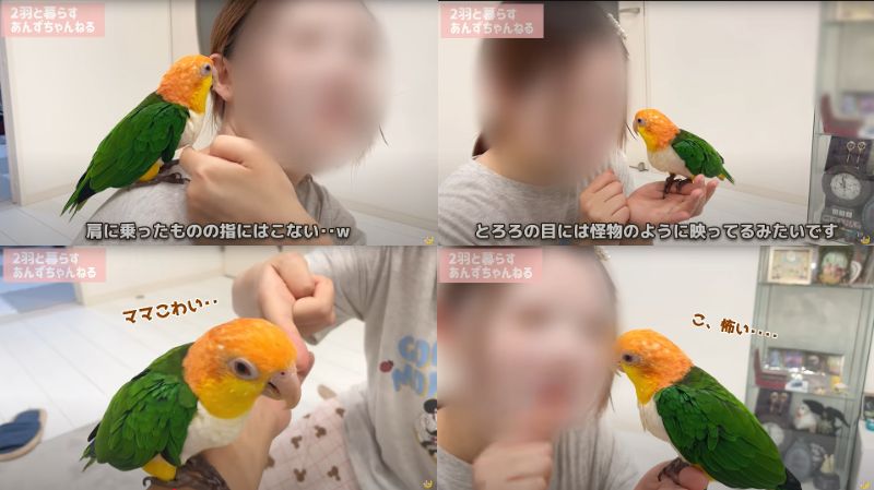 出所：@anz_omomiri