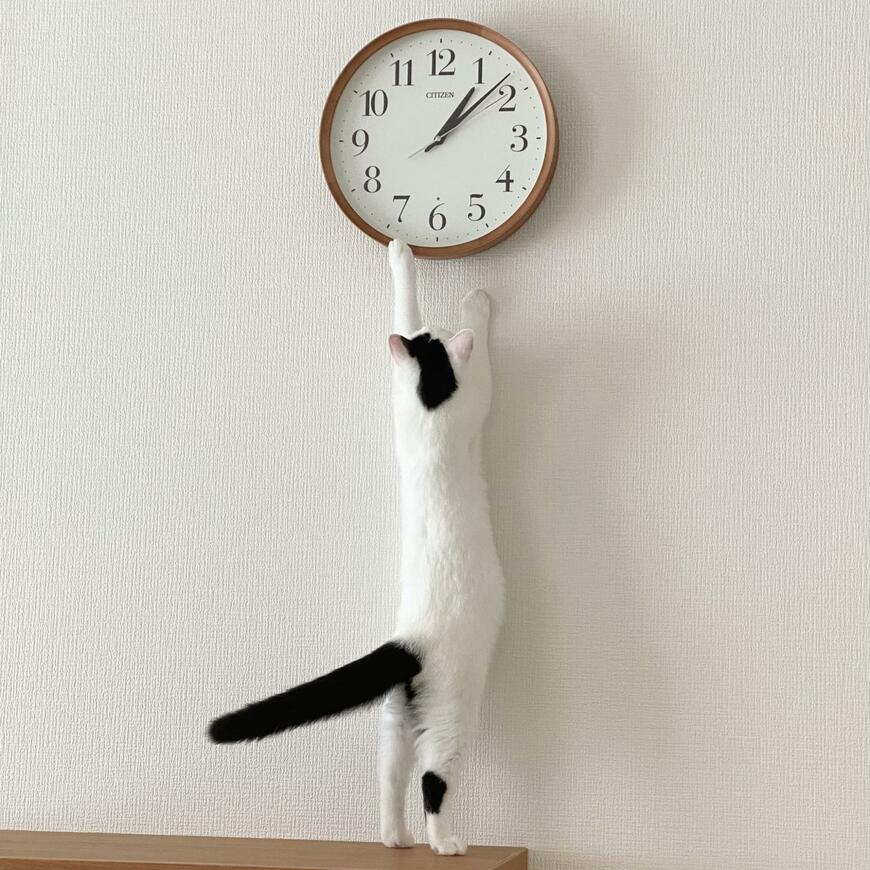 出所：@takeru0321neko