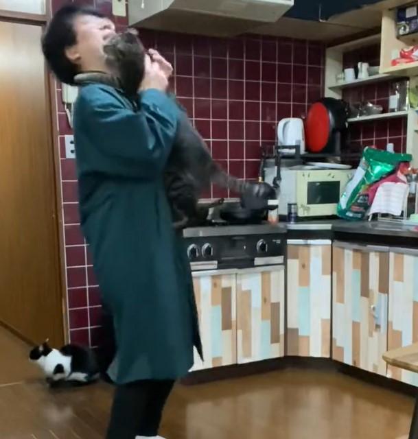 出所：@00shitemita 