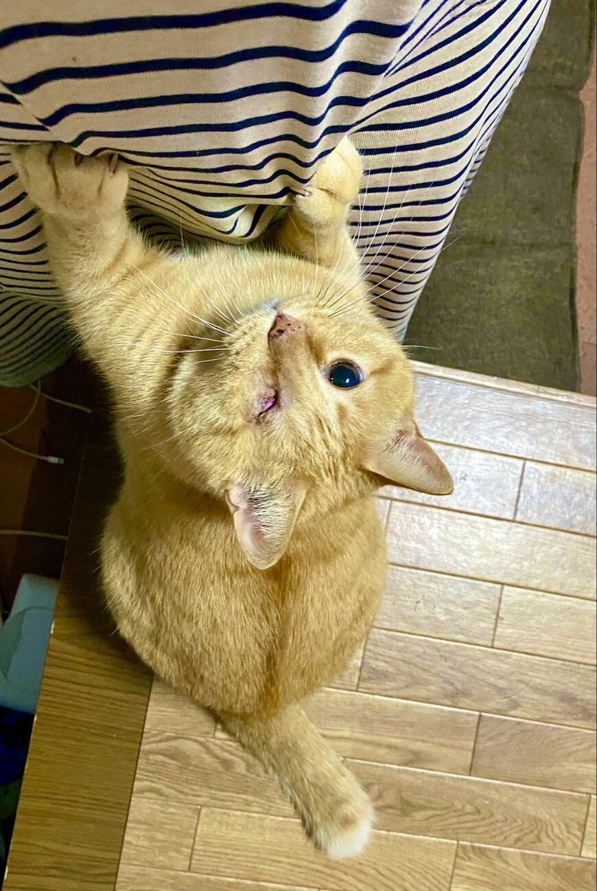 出所：@luna7taka9